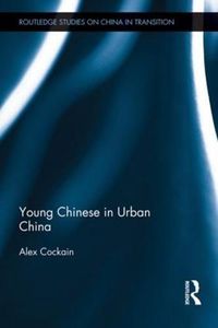 Cover image for Young Chinese in Urban China