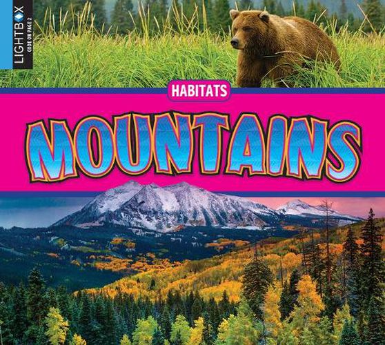 Cover image for Mountains