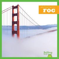 Cover image for Fog