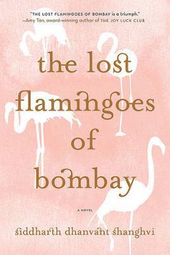 Cover image for The Lost Flamingoes of Bombay