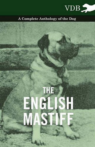 Cover image for The English Mastiff - A Complete Anthology of the Dog