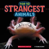 Cover image for Strangest Animals (Wild World: Top 10)