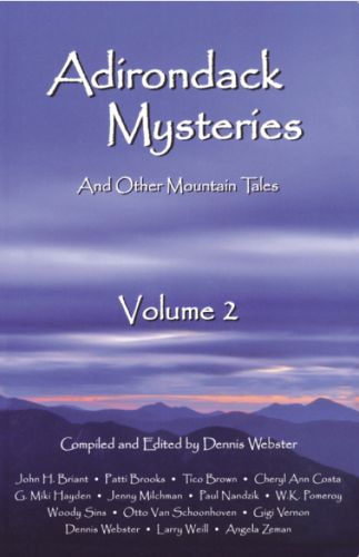 Cover image for Adirondack Mysteries
