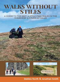 Cover image for Walks without Stiles