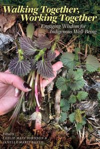 Cover image for Walking Together, Working Together: Engaging Wisdom for Indigenous Well-Being