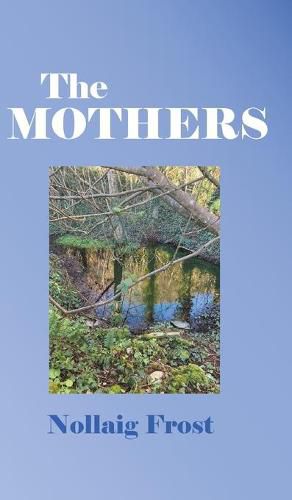 Cover image for The Mothers