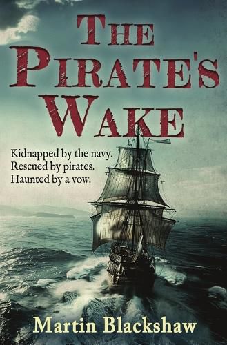 Cover image for The Pirate's Wake