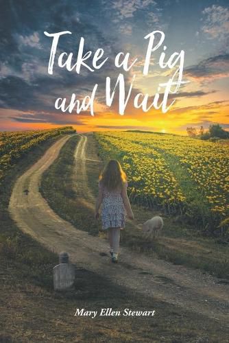 Cover image for Take a Pig and Wait