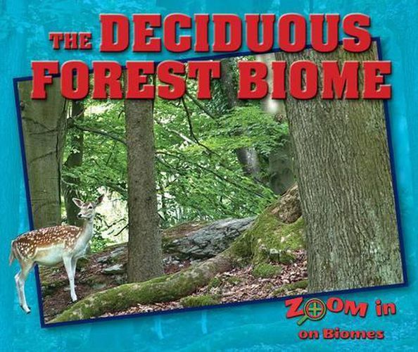 Cover image for The Deciduous Forest Biome