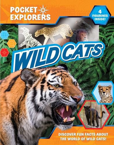 Cover image for Wild Cats Pocket Explorers