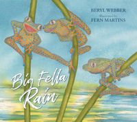 Cover image for Big Fella Rain