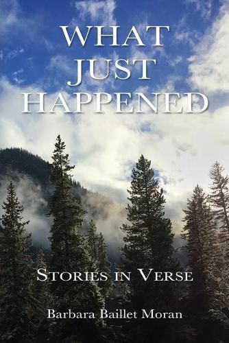 Cover image for What Just Happened: Stories in Verse