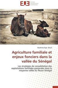 Cover image for Agriculture Familiale Et Enjeux Fonciers Dans La Vall e Du S n gal