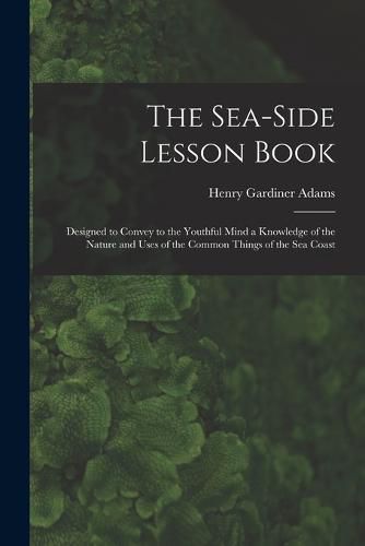 Cover image for The Sea-Side Lesson Book