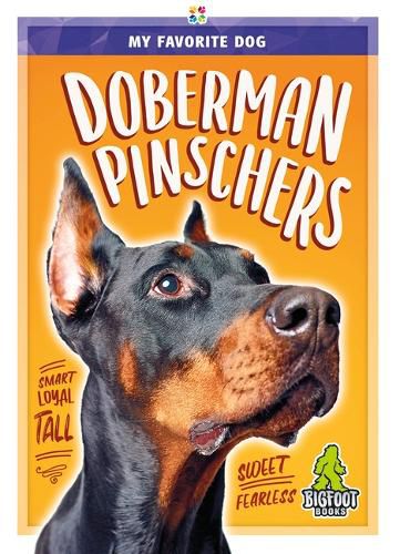 Cover image for Doberman Pinschers