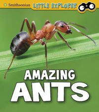 Cover image for Amazing Ants