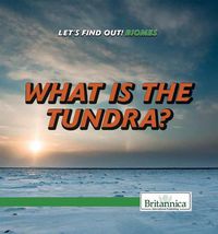 Cover image for What Is the Tundra?