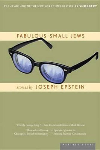 Cover image for Fabulous Small Jews