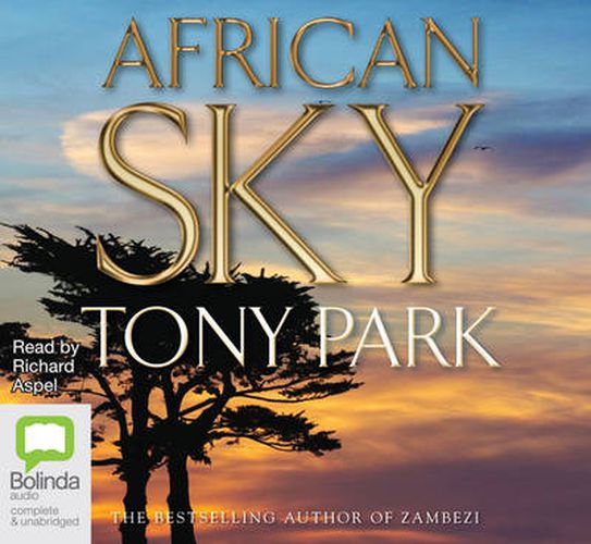 Cover image for African Sky