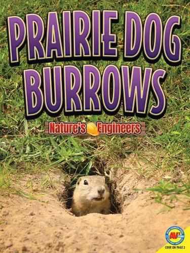 Cover image for Prairie Dog Burrows