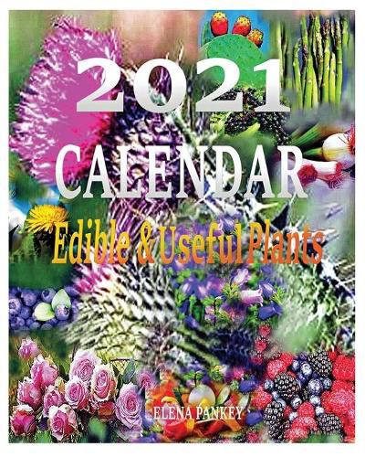 Cover image for Calendar 2021: Edible & useful Plants