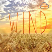 Cover image for Wind