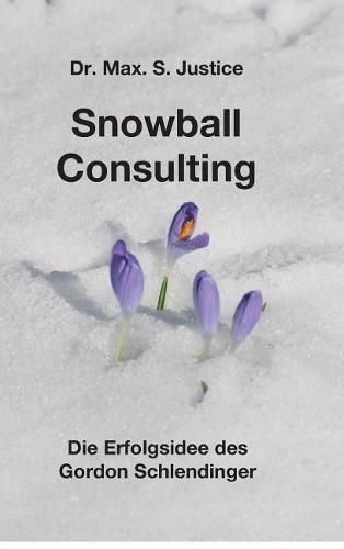 Cover image for Snowball Consulting