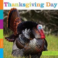 Cover image for Thanksgiving Day