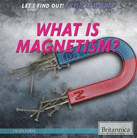 Cover image for What Is Magnetism?