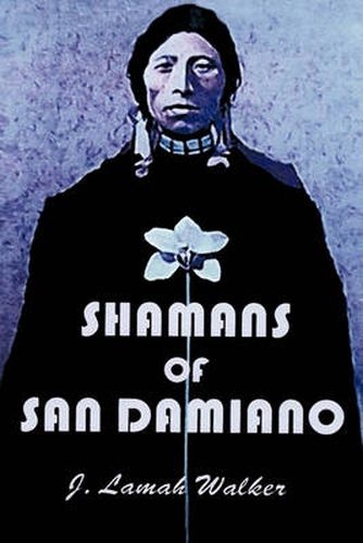 Cover image for Shamans of San Damiano