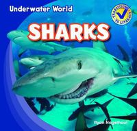 Cover image for Sharks