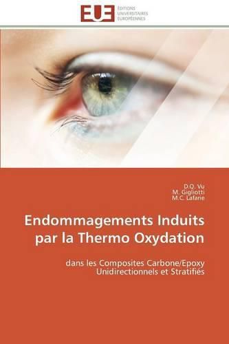 Cover image for Endommagements induits par la thermo oxydation