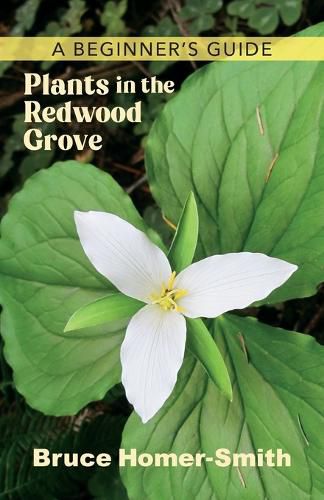 Cover image for Plants in the Redwood Grove