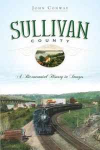 Cover image for Sullivan County: A Bicentennial History in Images