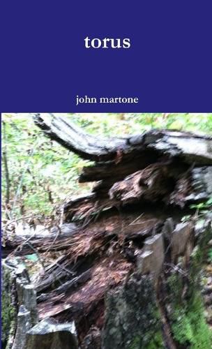 Cover image for torus