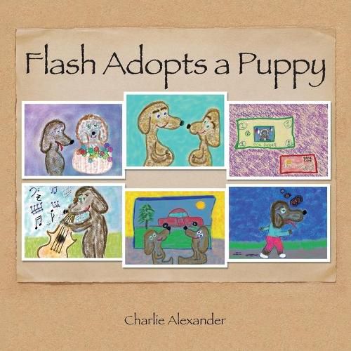 Cover image for Flash Adopts a Puppy