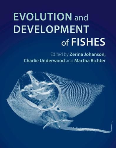 Cover image for Evolution and Development of Fishes