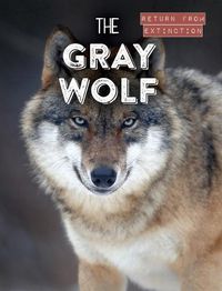 Cover image for The Gray Wolf