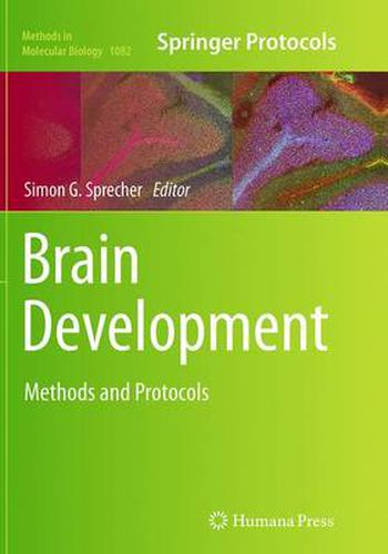 Brain Development: Methods and Protocols