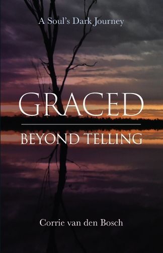 Cover image for Graced beyond telling