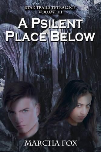 Cover image for A Psilent Place Below