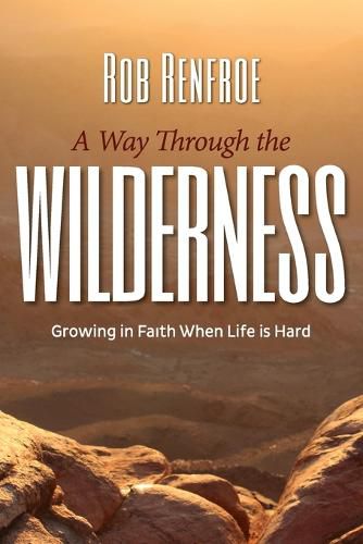 Cover image for A Way Through the Wilderness: Growing in Faith When Life is Hard