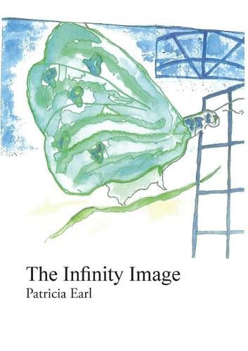 Cover image for The Infinity Image