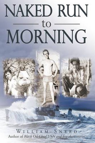 Cover image for Naked Run to Morning