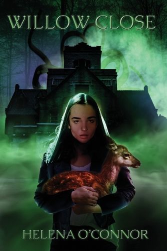 Cover image for Willow Close
