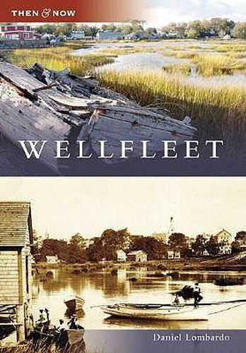 Cover image for Wellfleet