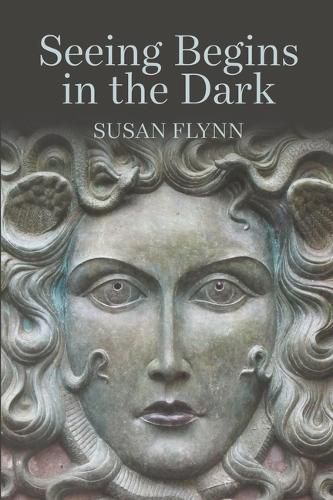 Cover image for Seeing Begins in the Dark