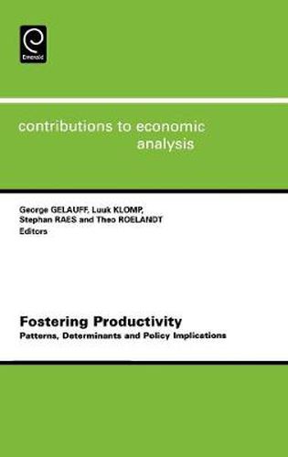 Cover image for Fostering Productivity: Patterns, Determinants and Policy Implications