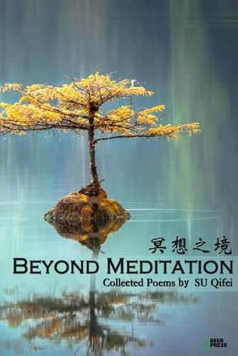 Cover image for Beyond Meditation: &#20901;&#24819;&#20043;&#22659;