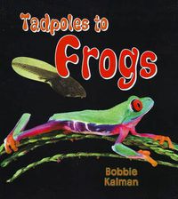 Cover image for Tadpoles to Frogs